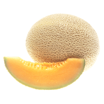 Cantaloupe