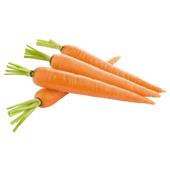 Carrot