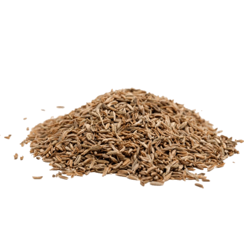 Cumin seed