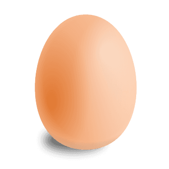 Egg Yolk