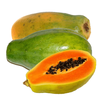 Papaya