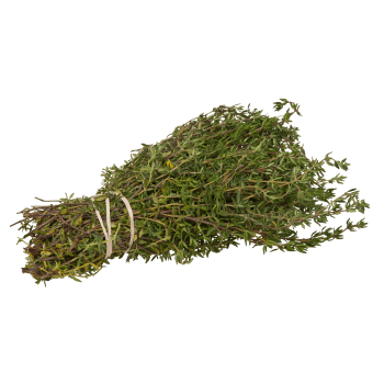 Thyme