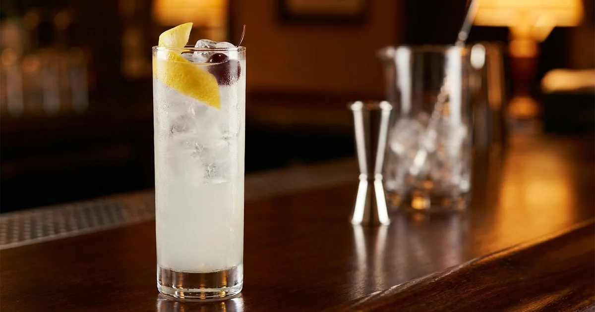 Professional photograph of a Tom Collins cocktail with garnish in elegant bar setting